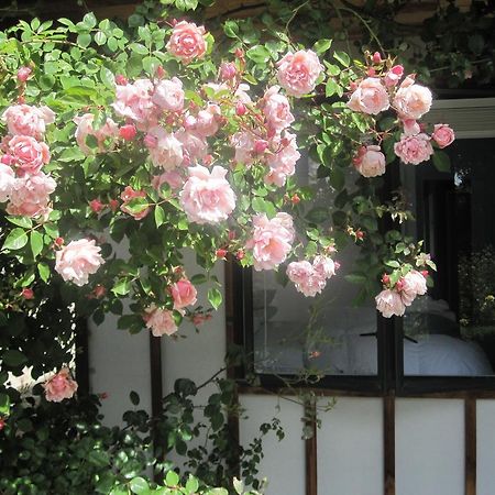Rose Cottage At The Elms Christchurch Værelse billede