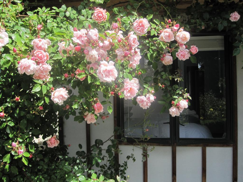 Rose Cottage At The Elms Christchurch Værelse billede